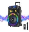 Bocina 12” S-12011 Bluetooth con Micrófono y Control Negro