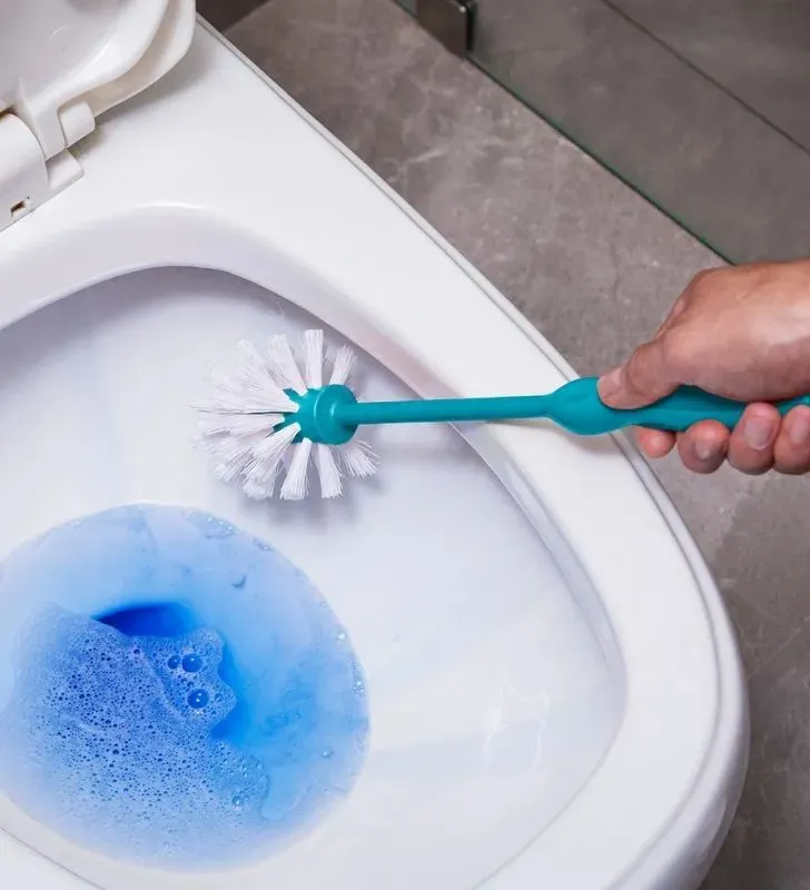 Sanitario con Tazón Reynera 2202MAX – Resistente y Funcional