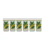 Juego de 6 Vasos Crisa Frutas 250 ml - Vidrio Decorativo para Bebidas