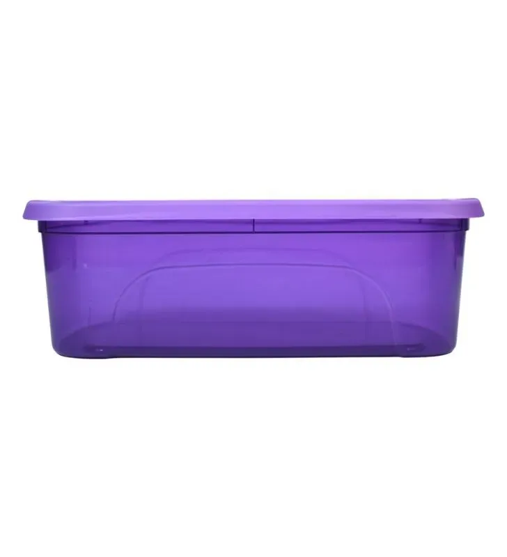 Caja Zapatera Italhome 8209 Morada con Tapa