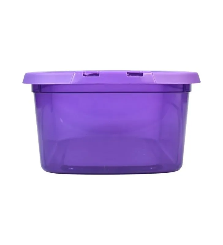 Caja Zapatera Italhome 8209 Morada con Tapa