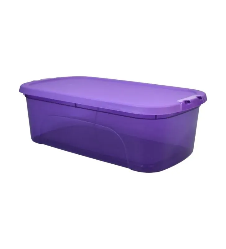 Caja Zapatera Italhome 8209 Morada con Tapa