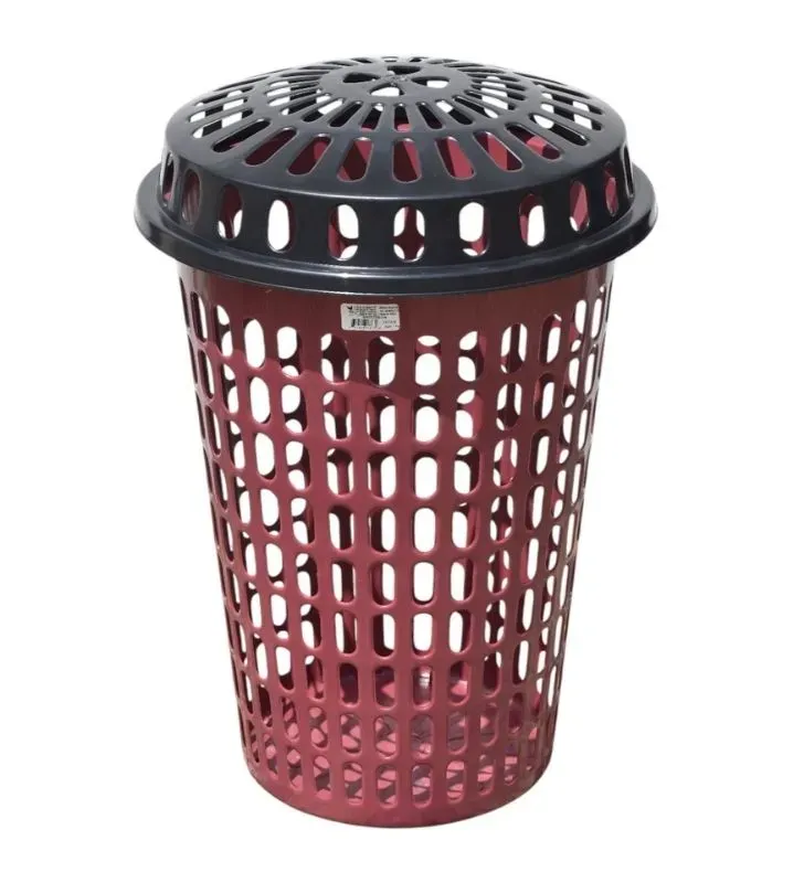 Cesto Buny Repro con Tapa Colores – Europlast