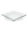 0764 PLATO EXTENDIDO 22.9 CMS. TEMPO