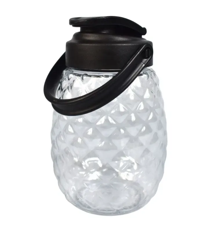 Envase Piña 600 ml Alcapet – Tapa colgante y diseño natural