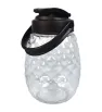 Envase Piña 600 ml Alcapet – Tapa colgante y diseño natural