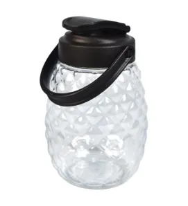 Envase Piña 600 ml Alcapet – Tapa colgante y diseño natural