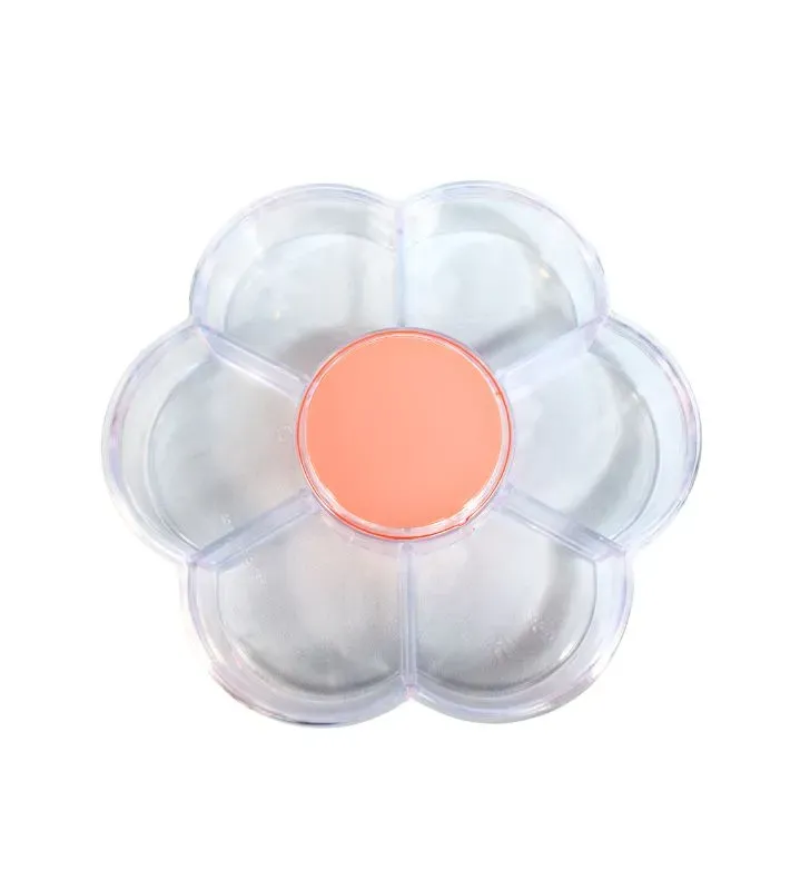 Caja Floral ARRA 2881 – Caja 7 divisiones de plástico