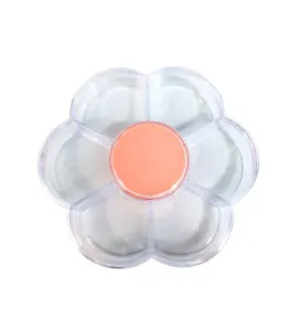 Caja Floral ARRA 2881 – Caja 7 divisiones de plástico